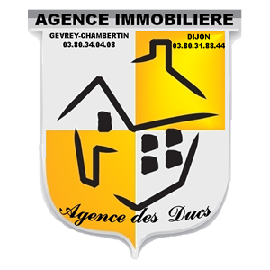 AGENCE DES DUCS DIJON